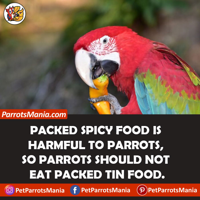 Packed Spicy Food for parrots