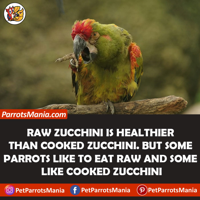 Raw Zucchini Or Cooked for parrots