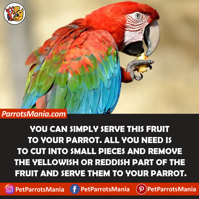 Serve Passion Fruits To Parrots