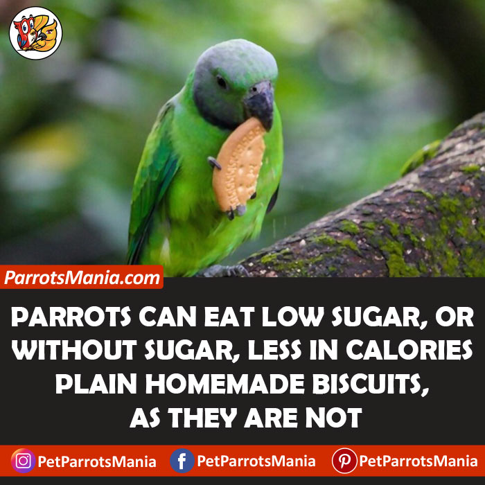 Biscuits Are Low In Sugar for parrots