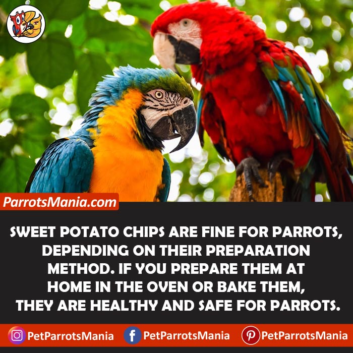 Fries And Potato Chips for parrots