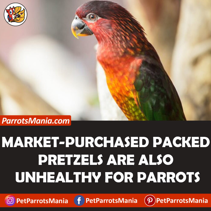 Market Purchased Packed Pretzels for parrots