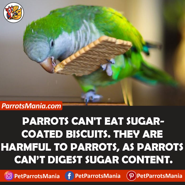 Parrots Eat Sugar Coated Biscuits