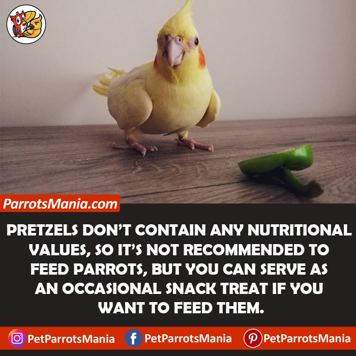 Pretzels For Parrots