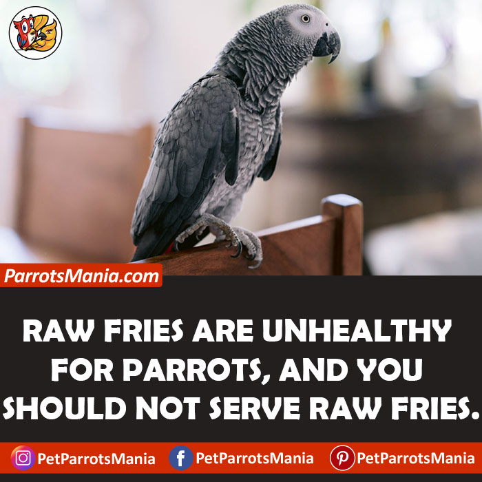 Raw Fries for parrots