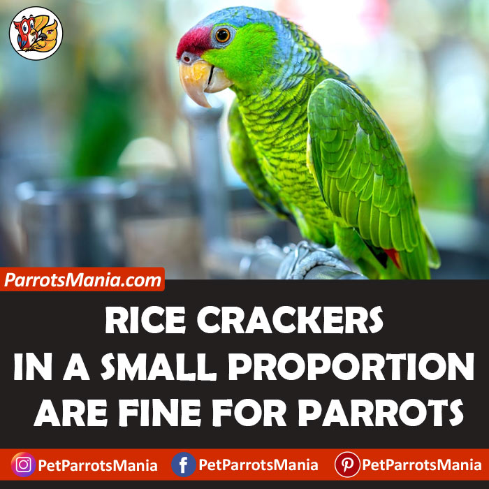 Rice Crackers for parrots
