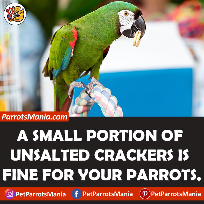 Saltine Crackers for parrots
