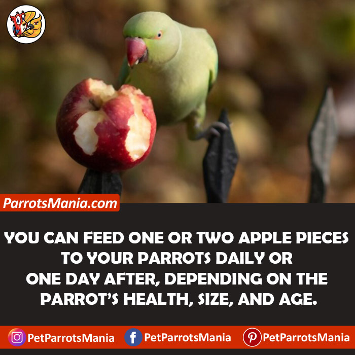 Serve Apple To Parrots